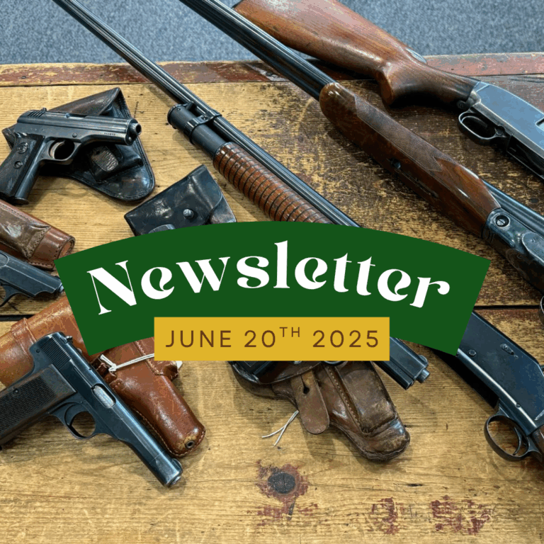 Newsletter | 6.20.25 | 3rd week of June Haul