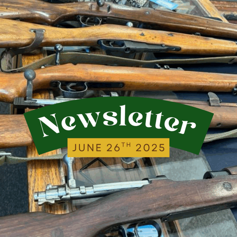 Newsletter | 6.26.25 | End of June Haul…maybe