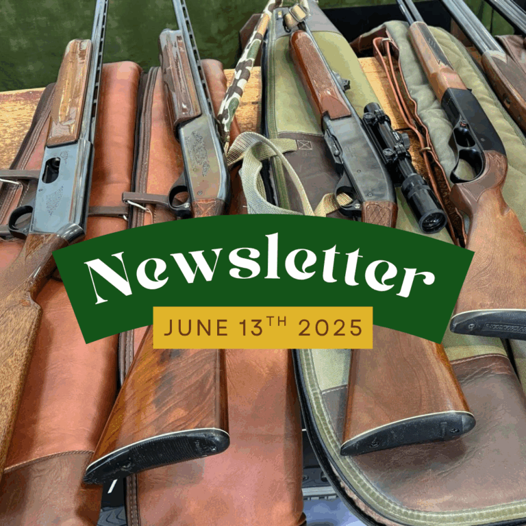 Newsletter | 6.13.25 | Very LARGE list, 104 Items