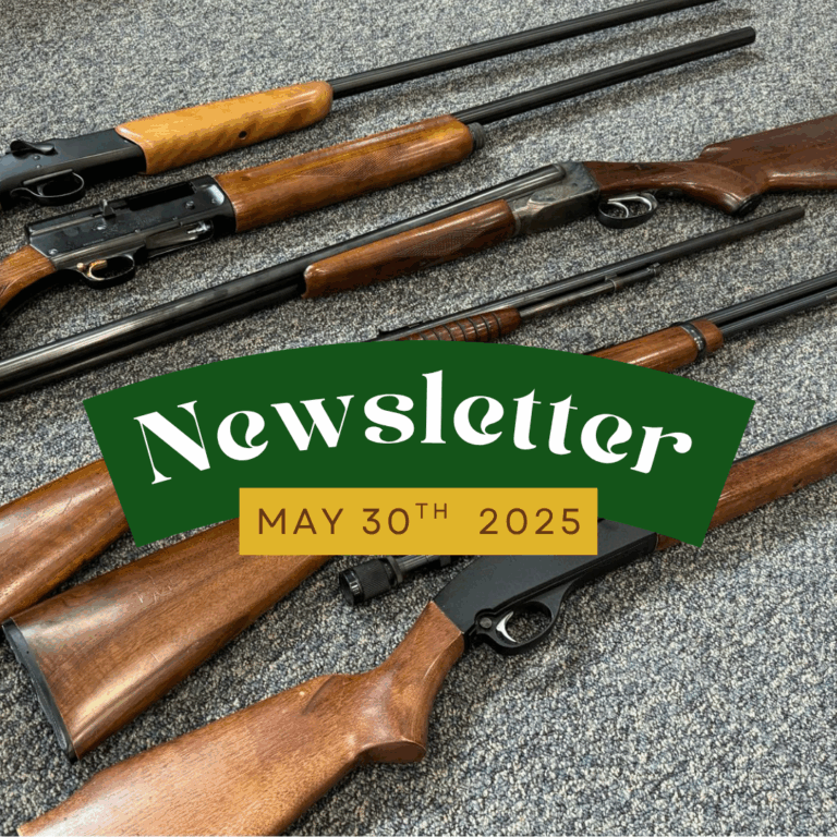 Newsletter | 5.30.2025 | Latest Haul Overload