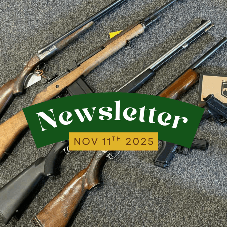 Newsletter | 11.11.25 | First email for the week, another coming tomorrow